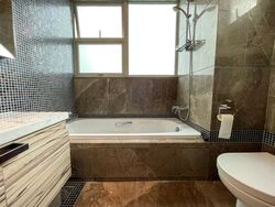 The Vision (D5), Condominium #503960401